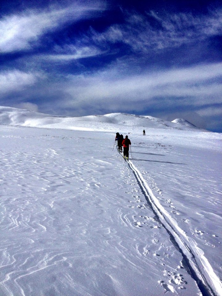 740759_10151187559456987_254775036_o